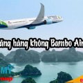 Ra mắt Hãng hàng không Bambo Airway 2018- Việt Mỹ