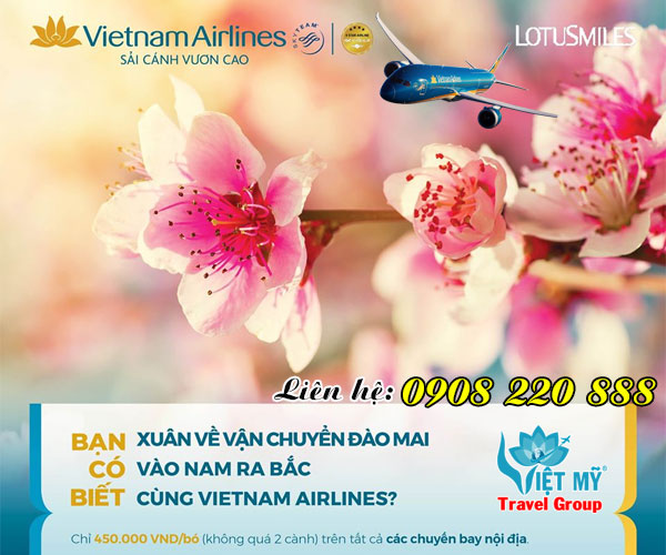 Vietnam Airlines nhận chở mai, đào đón Tết 2020