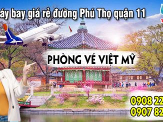 Vé máy bay giá rẻ đường Phú Thọ quận 11 - Việt Mỹ