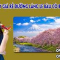 Vé máy bay giá rẻ đường Láng Le Bàu Cò Bình Chánh - Việt Mỹ