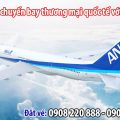 Mở lại các chuyến bay thương mại quốc tế với Việt Nam