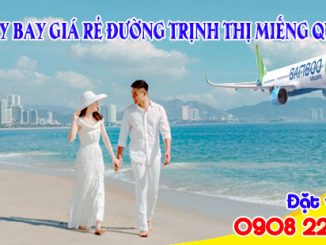 Vé máy bay giá rẻ đường Trịnh Thị Miếng quận 12 - Việt Mỹ