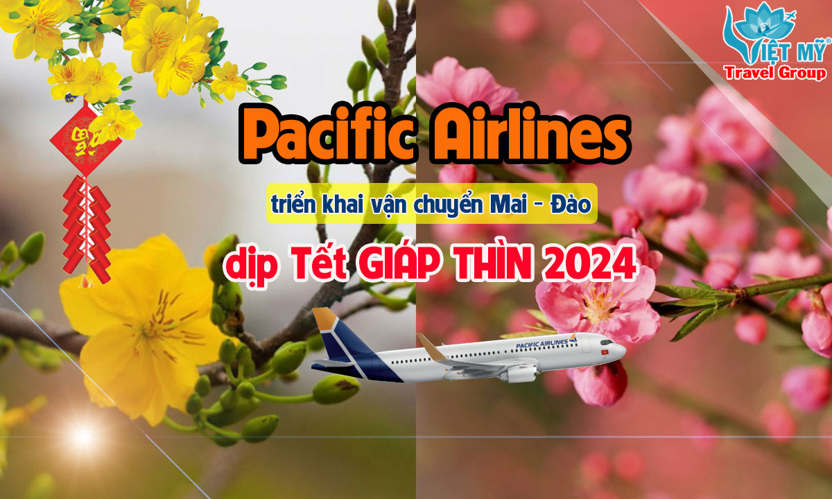 Pacific Airlines triển khai vận chuyển Mai - Đào dịp Tết GIÁP THÌN 2024