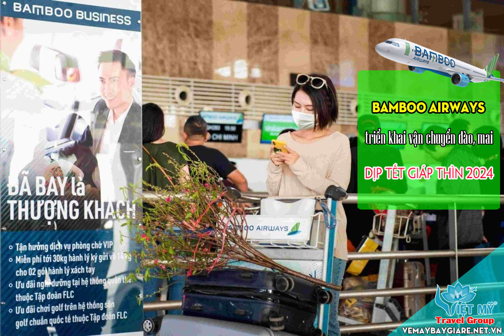 Triển khai vận chuyển đào mai của Bamboo Airways dịp Tết Giáp Thìn 2024