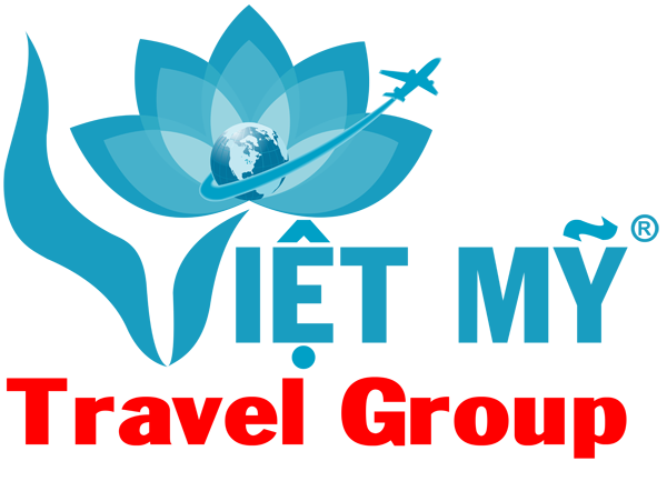 logo vé máy bay Việt Mỹ