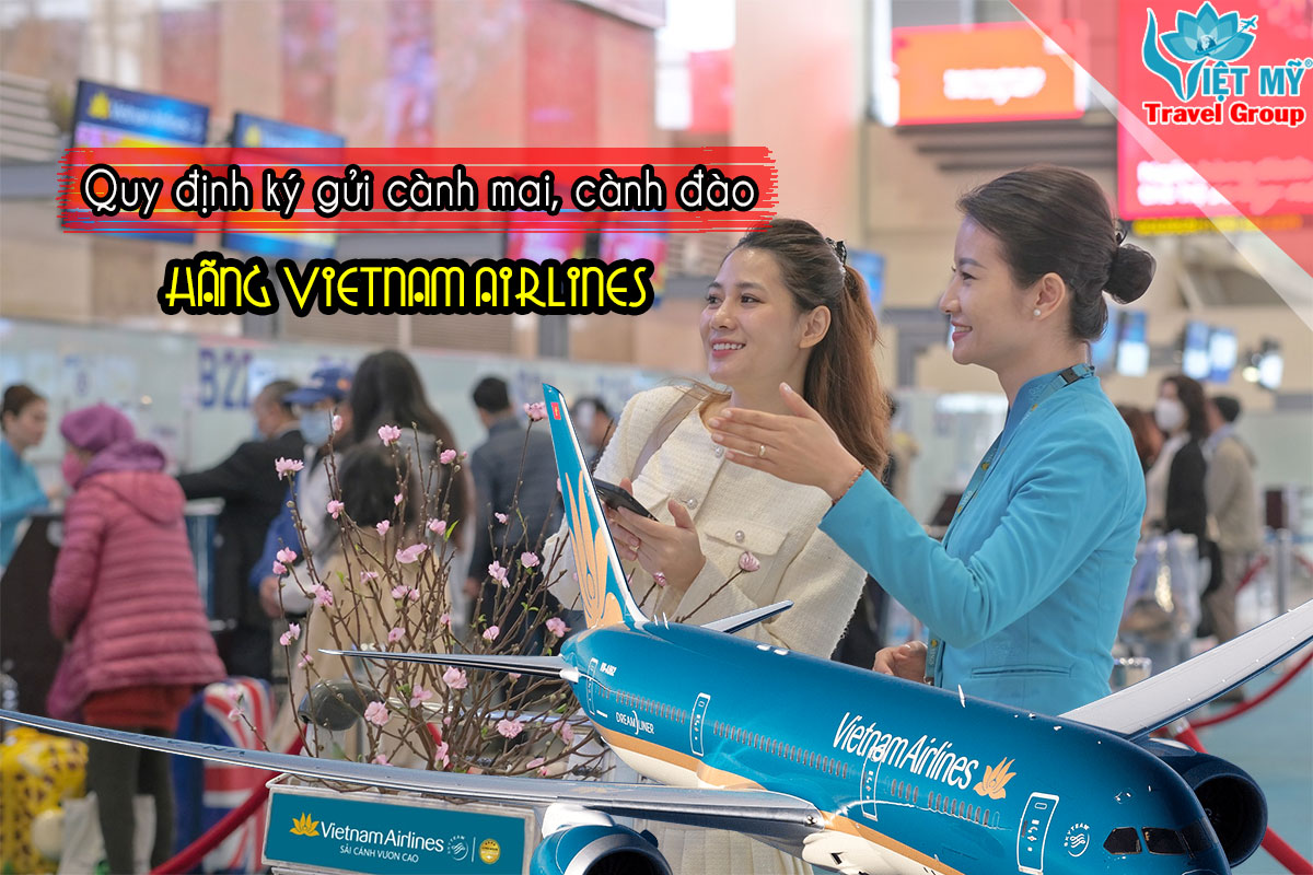 Mang TẾT về nhà - Quy định ký gửi cành mai, cành đào hãng Vietnam Airlines