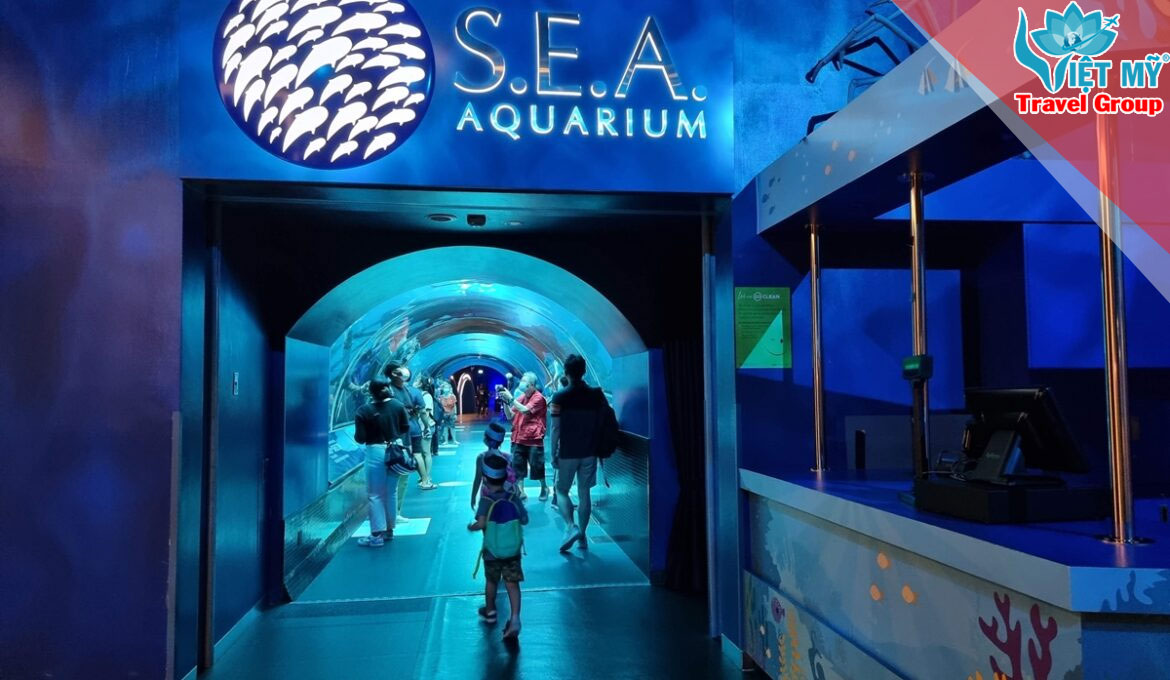 Đặt máy bay đi S.E.A Aquarium Singapore