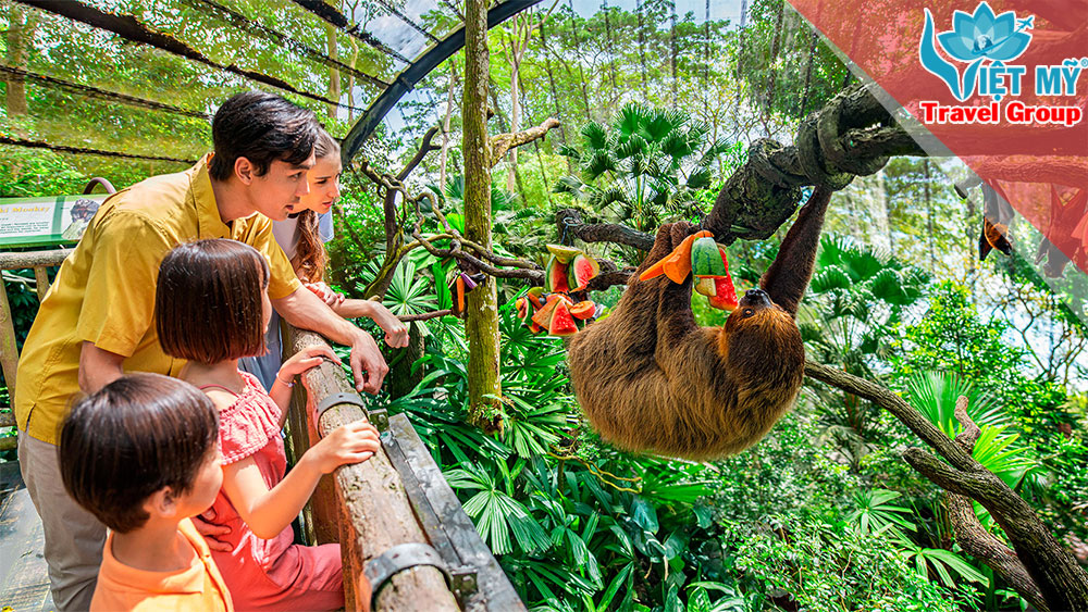 Du lịch và khám phá Singapore Zoo