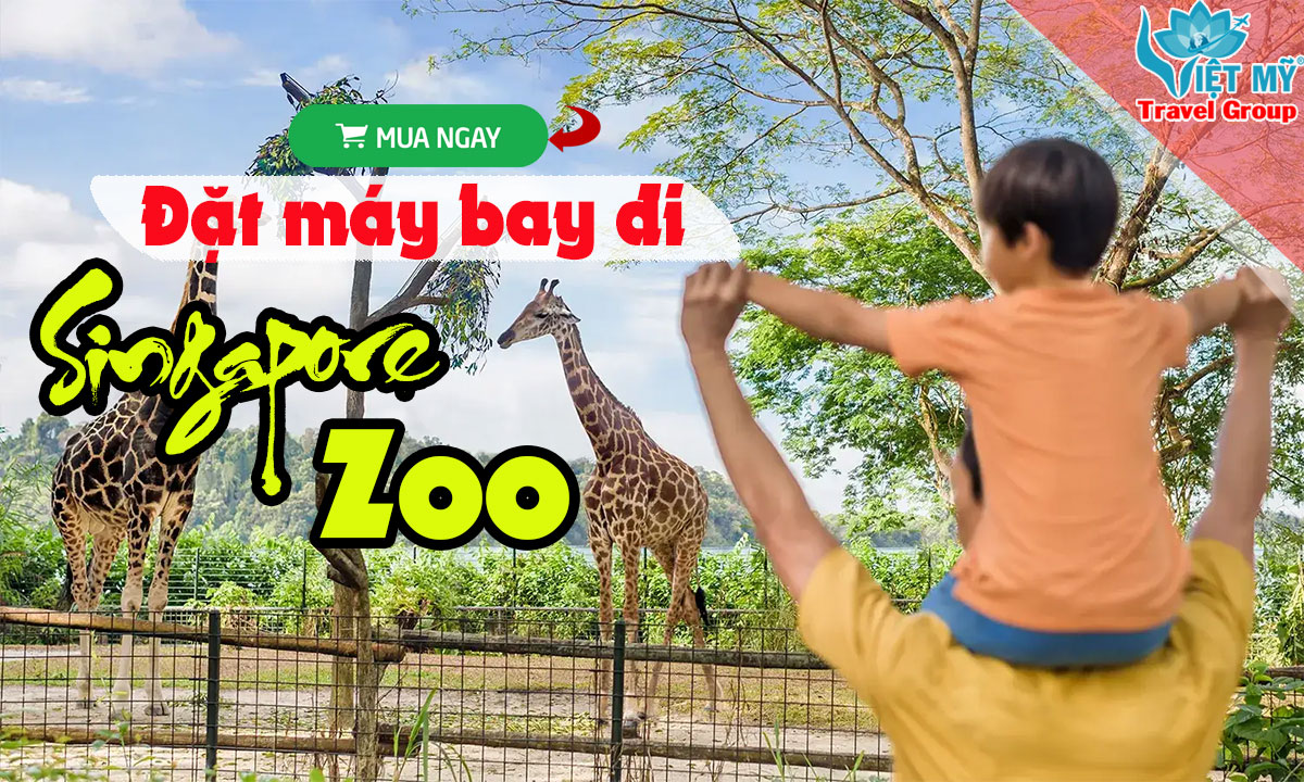 Đặt máy bay đi Singapore Zoo