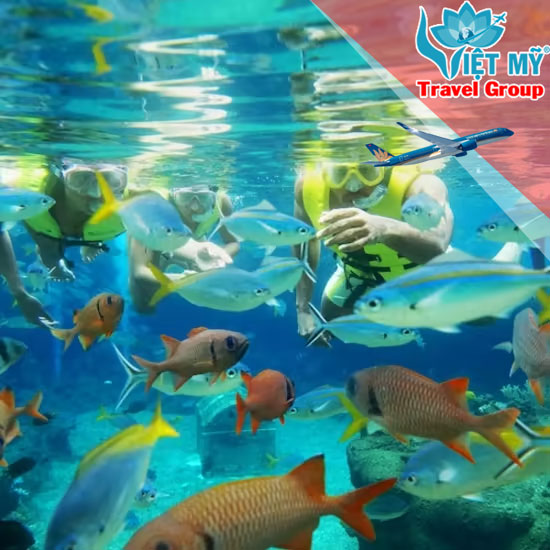 Du lịch và trải nghiệm Công viên nước Adventure Cove Singapore
