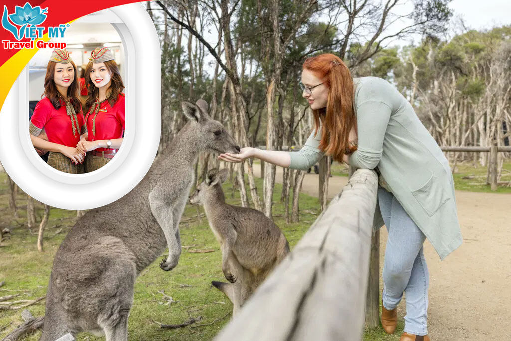 Giá vé máy bay Vietjet từ Hà Nội đến Melbourne bao nhiêu?