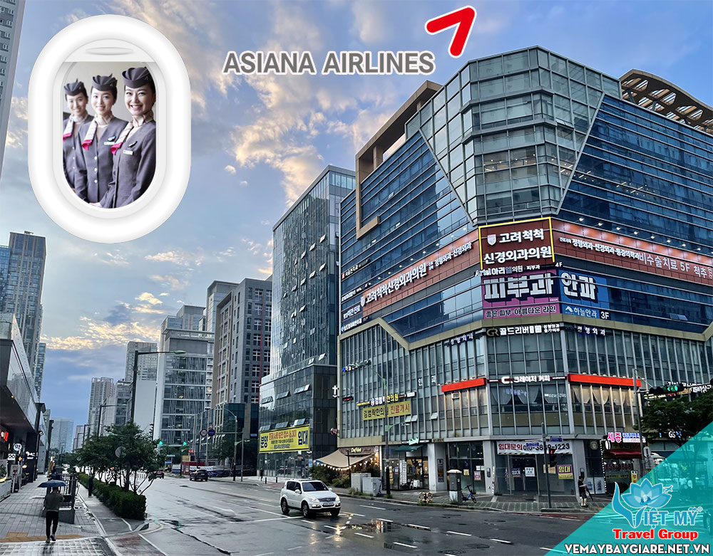 GHẾ HẠNG THƯƠNG GIA CỦA ASIANA AIRLINES CHẶNG HỒ CHÍ MINH - HÀN QUỐC