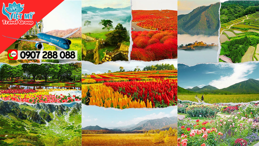 Liên hệ Việt Mỹ săn liền vé đi Nhật giá tốt!
