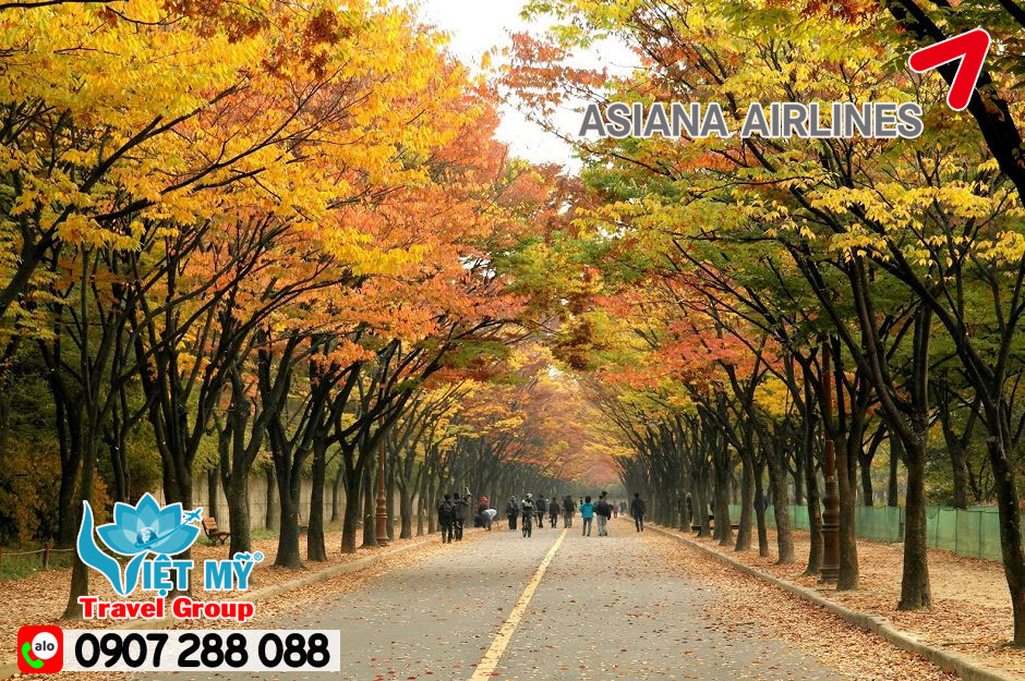 Siêu ưu đãi đến Incheon với Asiana Airlines