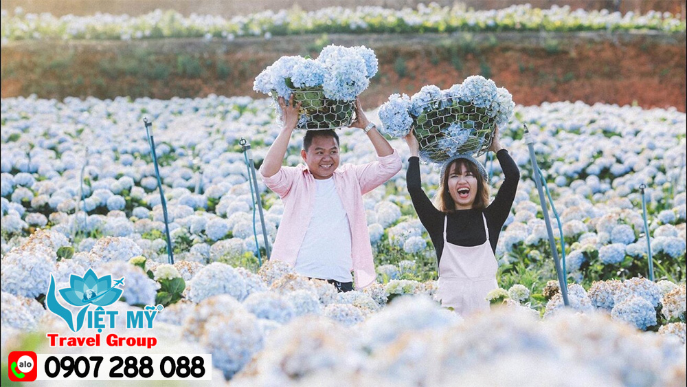 Hiện tại có những hãng nào khai thác chặng Việt - Hàn? 