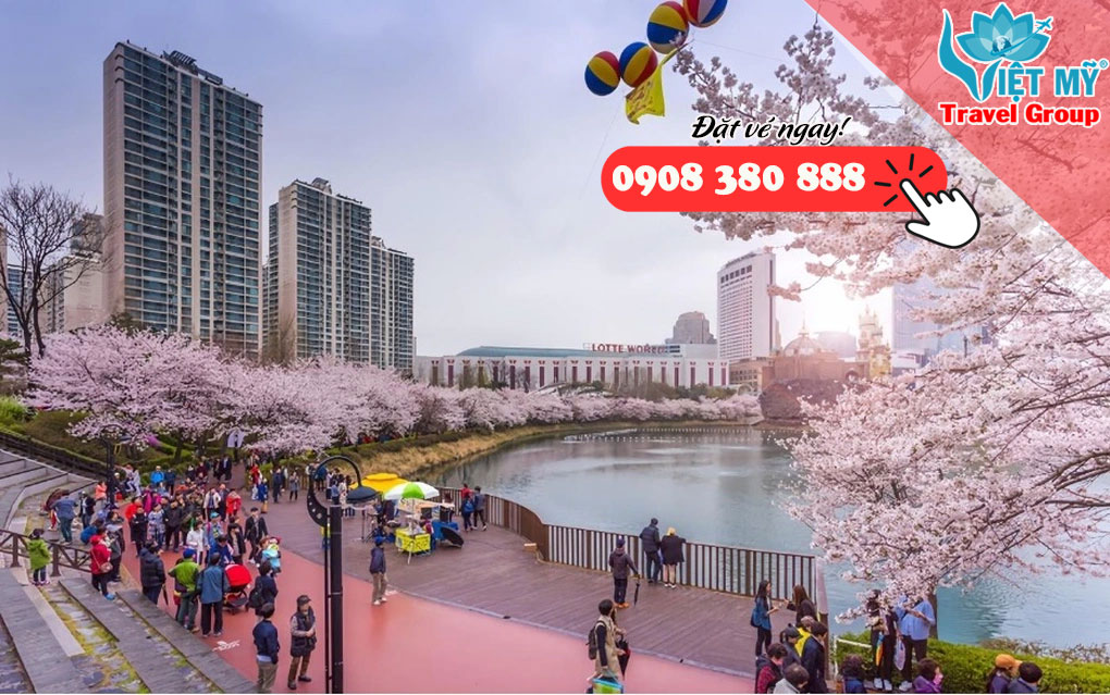 Đến hẹn lại lên, mùa hoa anh đào làm rạo rực lòng người đang vào cao điểm đẹp nhất trong năm.