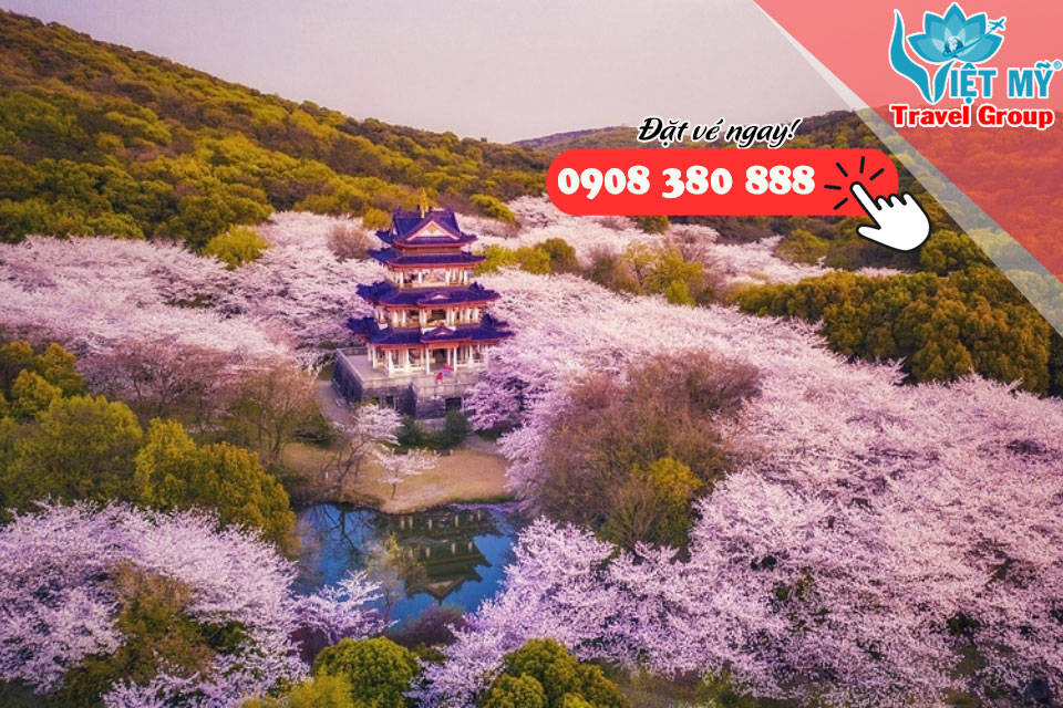Top những quốc gia có vườn Hoa Anh Đào đẹp nhất thế giới
