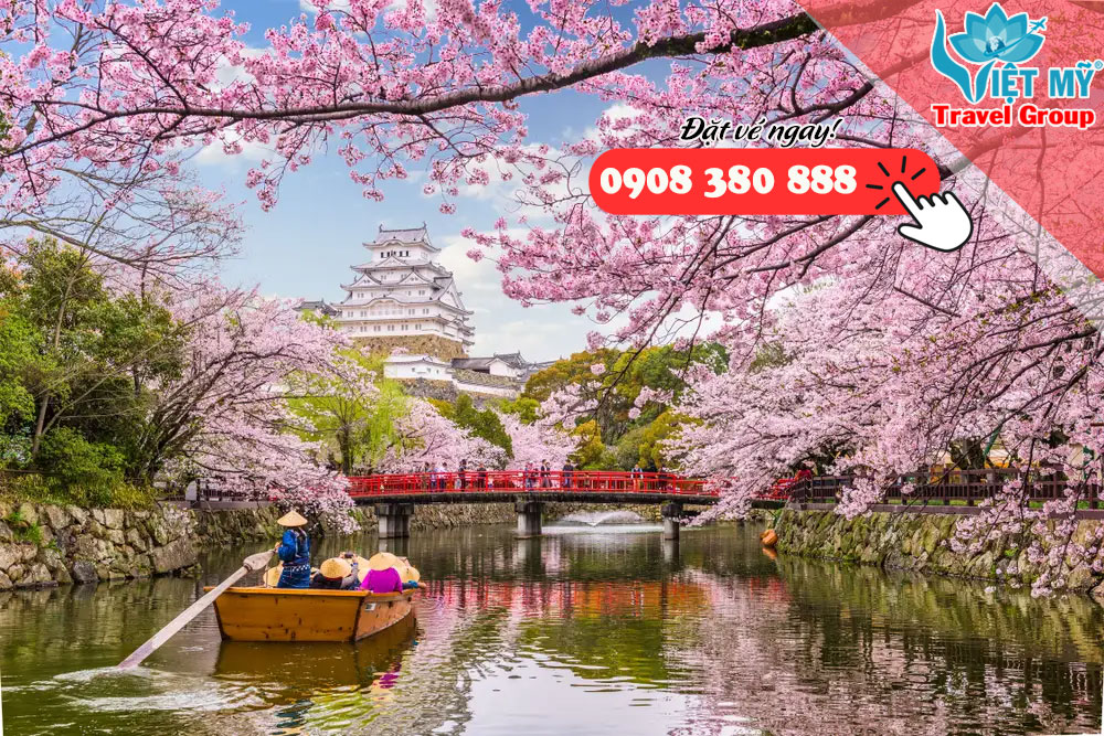 Đến hẹn lại lên, mùa hoa anh đào làm rạo rực lòng người đang vào cao điểm đẹp nhất trong năm.