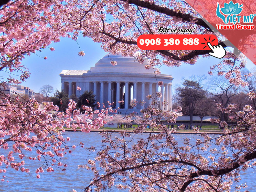 Top những quốc gia có vườn Hoa Anh Đào đẹp nhất thế giới