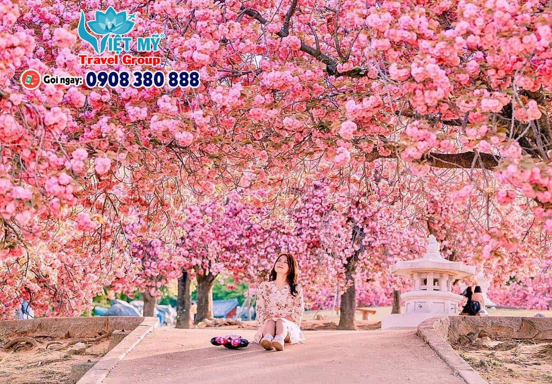 Air Macau khuyến mãi vé bay đi 🇯🇵 Nhật Bản 🇰🇷 Hàn Quốc 🇨🇳 Trung Quốc