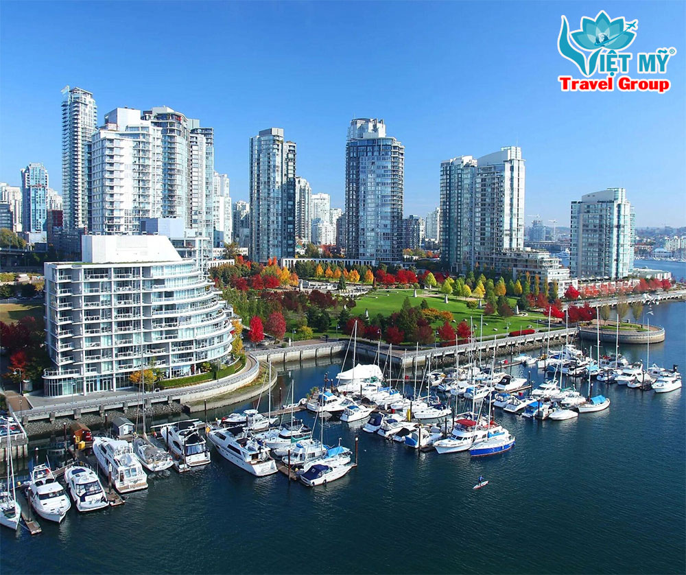 Việt Mỹ - hỗ trợ đặt vé máy bay tuyến Việt Nam Canada