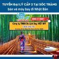 Tuyển đại lý cấp 2 tại Sóc Trăng bán vé máy bay đi Nhật Bản