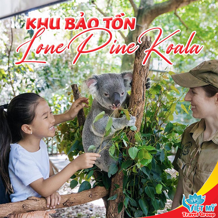Khám phá Brisbane – Thành phố hiện đại, ngập tràn thiên nhiên