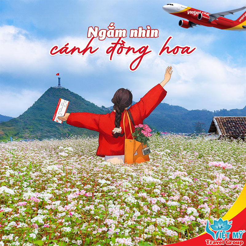 Bay Vietjet đi Hà Nội rồi chinh phục Hà Giang mùa hoa Tam Giác Mạch