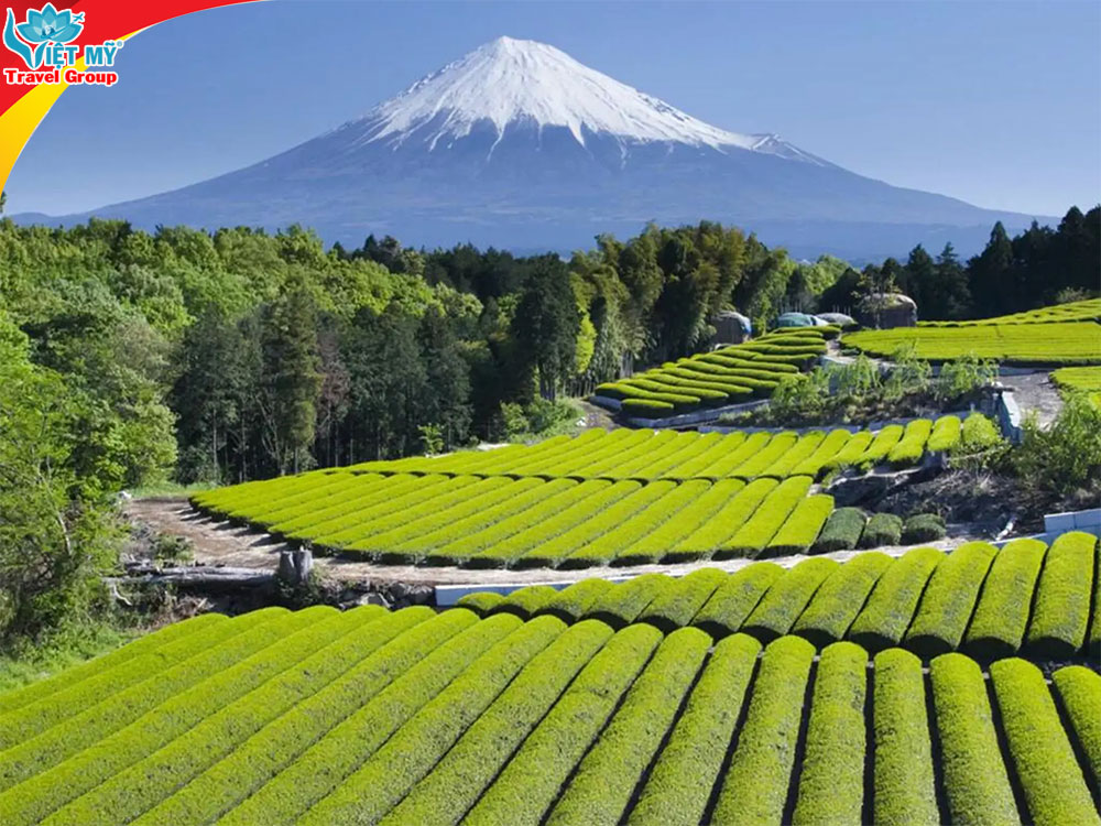 Vé Vietjet Hà Nội – Shizuoka mở bán, kết nối thẳng “thủ phủ” Núi Phú Sĩ