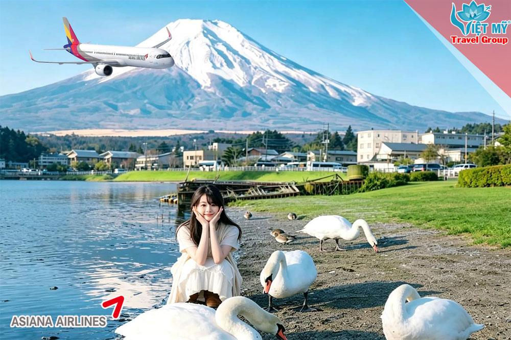 Săn vé Asiana Airlines ưu đãi đến 13% khám phá hồ Kawaguchiko