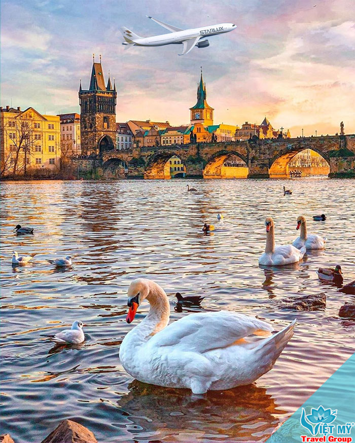 Bay Hoa Kỳ, Praha cùng STARLUX Airlines – Ưu đãi hấp dẫn đến 31/01/2027